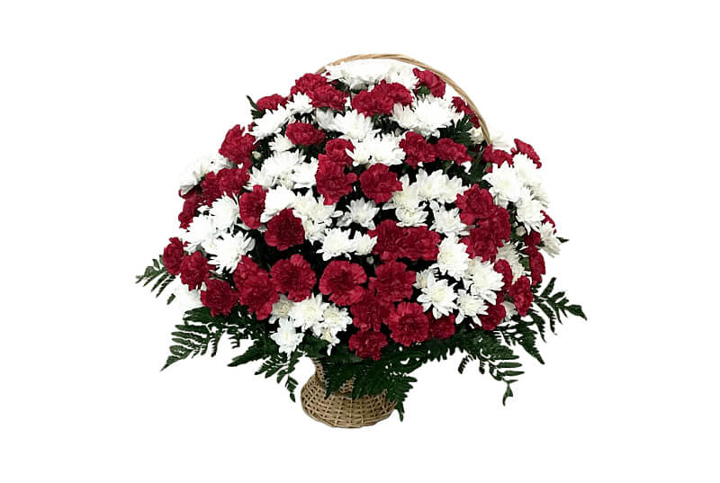 Главная